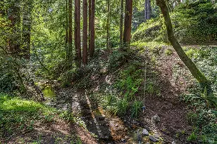 334 W Blithedale Ave, Mill Valley, CA 94941 - Photo 69