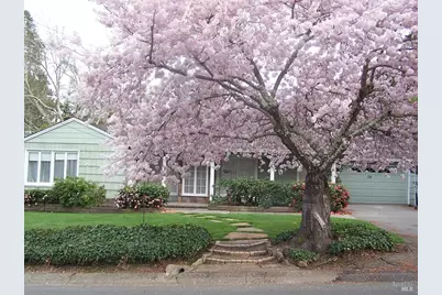 10 Donna Maria Way, Orinda, CA 94563 - Photo 1