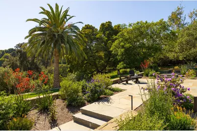 313 Summit Avenue, San Rafael, CA 94901 - Photo 3