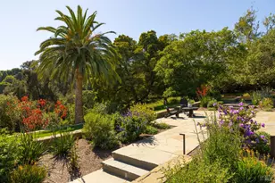 313 Summit Ave, San Rafael, CA 94901 - Photo 3