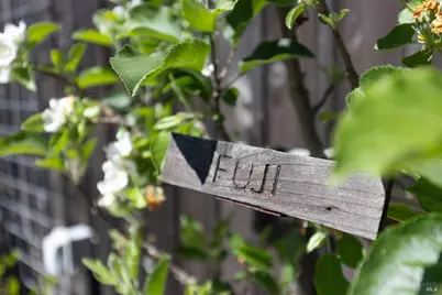 700 Montclair Drive, Santa Rosa, CA 95409 - Photo 33