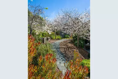 103 Reed Ranch Road, Tiburon, CA 94920 - Photo 79