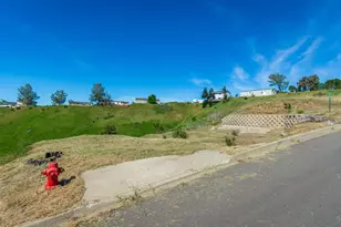 318 Black Oak Ln, Napa, CA 94558 - Photo 1