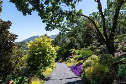 2900 Wild Turkey Run, Santa Rosa, CA 95404 - Photo 35