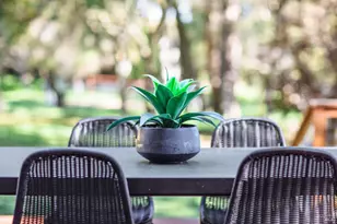 96 Valley View Dr, Petaluma, CA 94952 - Photo 75