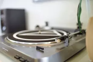 96 Valley View Dr, Petaluma, CA 94952 - Photo 71