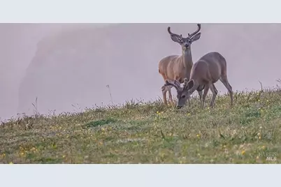 42179 Rock Cod, The Sea Ranch, CA 95497 - Photo 27