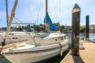 24 Mooring Rd, San Rafael, CA 94901 - Photo 47