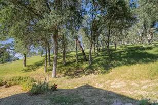 1486 Steele Canyon Rd, Napa, CA 94558 - Photo 37