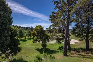 143 Knollwood Dr, San Rafael, CA 94901 - Photo 19