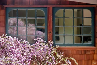 9 Portola Avenue, Point Reyes Station, CA 94956 - Photo 47