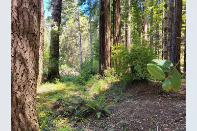 315 Chinquapin Lane, The Sea Ranch, CA 95497 - Photo 1