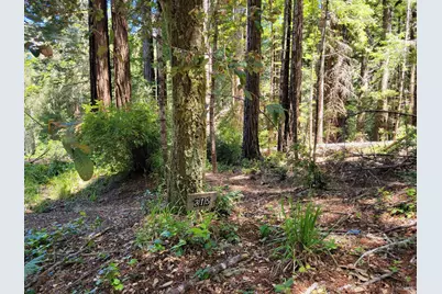 315 Chinquapin Lane, The Sea Ranch, CA 95497 - Photo 3