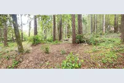 315 Chinquapin Lane, The Sea Ranch, CA 95497 - Photo 3