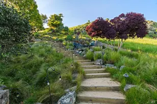 8 Mariposa Ct, Tiburon, CA 94920 - Photo 47