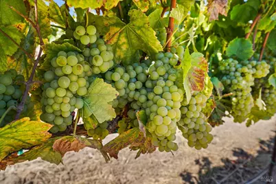 5267 Old Sonoma Road, Napa, CA 94559 - Photo 17