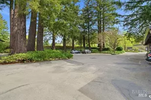 10 Catalpa Ave, Mill Valley, CA 94941 - Photo 47