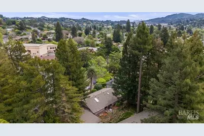 10 Catalpa Avenue #7, Mill Valley, CA 94941 - Photo 49
