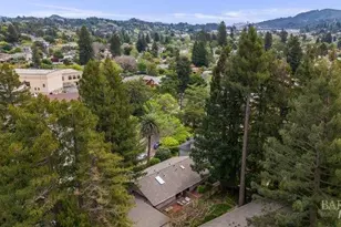 10 Catalpa Ave, Mill Valley, CA 94941 - Photo 49