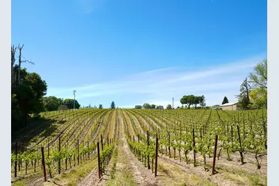 10463 Mill Station Road, Sebastopol, CA 95472 - Photo 51