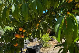 10463 Mill Station Rd, Sebastopol, CA 95472 - Photo 41