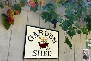 10463 Mill Station Rd, Sebastopol, CA 95472 - Photo 43