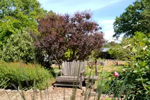 10463 Mill Station Rd, Sebastopol, CA 95472 - Photo 47