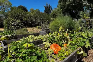 10463 Mill Station Rd, Sebastopol, CA 95472 - Photo 39