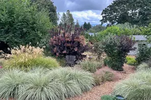 10463 Mill Station Rd, Sebastopol, CA 95472 - Photo 55