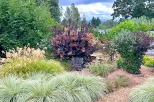 10463 Mill Station Rd, Sebastopol, CA 95472 - Photo 63