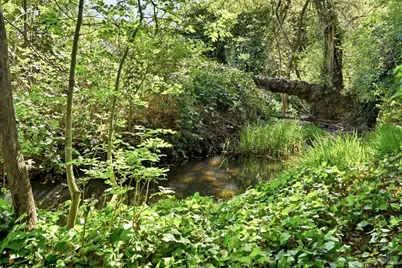 2875 Lomitas Avenue, Santa Rosa, CA 95404 - Photo 19