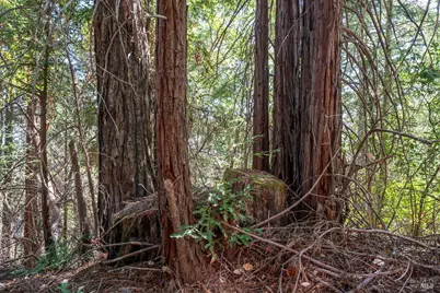 30401 Hwy 128 Highway, Yorkville, CA 95494 - Photo 37