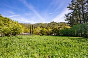 1 Alamo Way, Lagunitas, CA 94938 - Photo 23