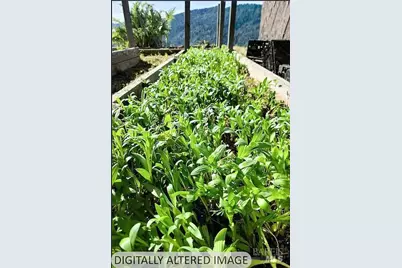 2233 Baywood Way, Willits, CA 95490 - Photo 5