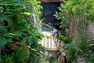 2233 Baywood Way, Willits, CA 95490 - Photo 3