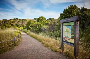 319 Golden Hind Passage, Corte Madera, CA 94925 - Photo 63