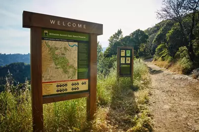 319 Golden Hind Passage, Corte Madera, CA 94925 - Photo 57