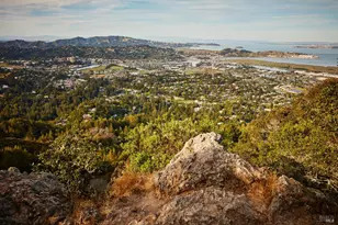 319 Golden Hind Passage, Corte Madera, CA 94925 - Photo 57