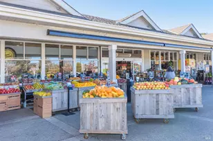 319 Golden Hind Passage, Corte Madera, CA 94925 - Photo 55