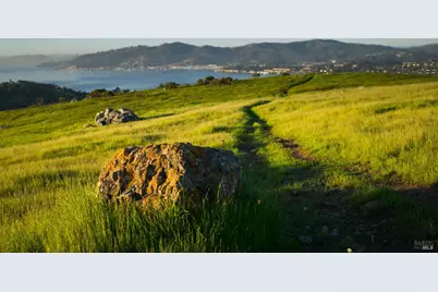 319 Golden Hind Passage, Corte Madera, CA 94925 - Photo 61