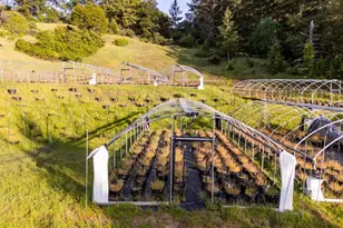 8000 Simmerly Rnch Rd, Laytonville, CA 95454 - Photo 37