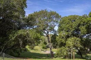 510 Kent St, Petaluma, CA 94952 - Photo 51