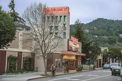 142 Dominga Avenue, Fairfax, CA 94930 - Photo 49