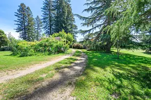 3580 Joy Rd, Occidental, CA 95465 - Photo 45