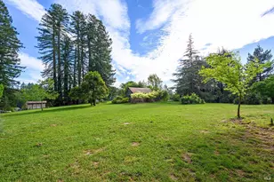 3580 Joy Rd, Occidental, CA 95465 - Photo 3