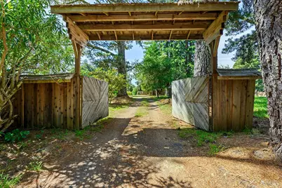 3580 Joy Road, Occidental, CA 95465 - Photo 47