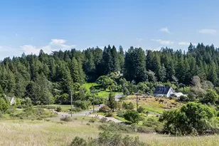 3580 Joy Rd, Occidental, CA 95465 - Photo 49