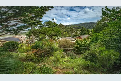 301 Greene Street, Mill Valley, CA 94941 - Photo 27