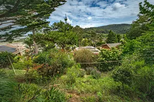 301 Greene St, Mill Valley, CA 94941 - Photo 27
