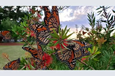 620 El Salto Drive, Capitola, CA 95010 - Photo 43